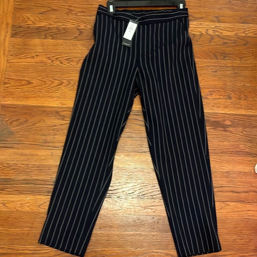 NWT 0P pinstripe pants, Hayden style